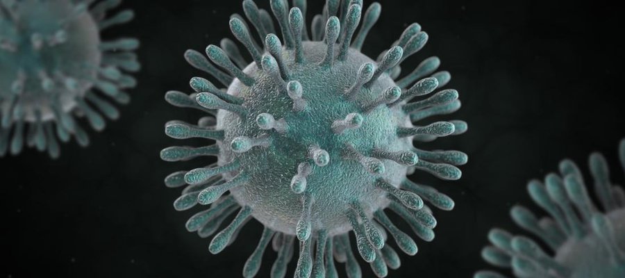 coronavirus.jpg